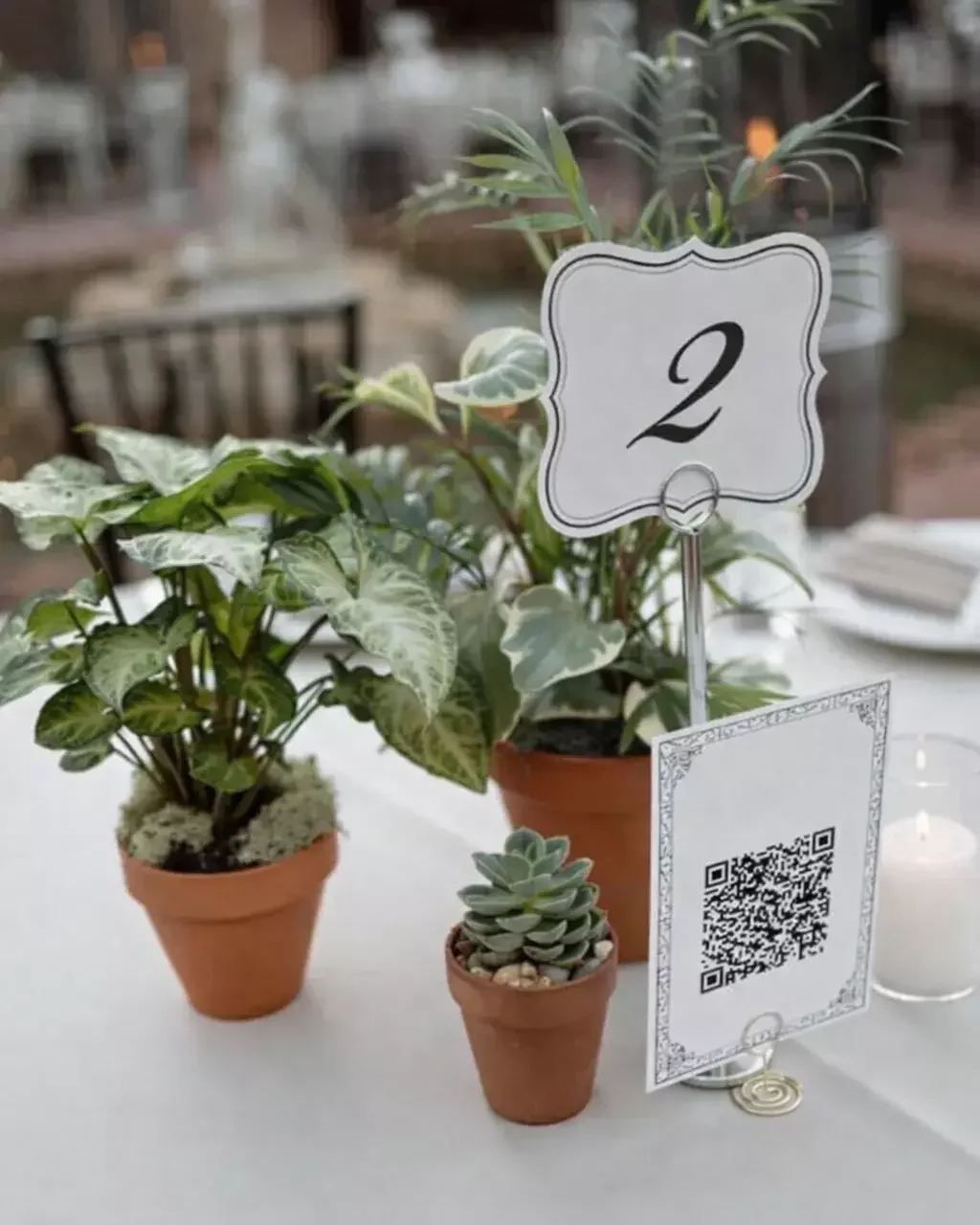 Potted plant centerpieces that double as wedding favors at a Howey Mansion reception