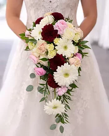 Cascading bridal bouquet of burgundy dahlias, blush roses and white gerbera daisies for a Tampa Bay wedding